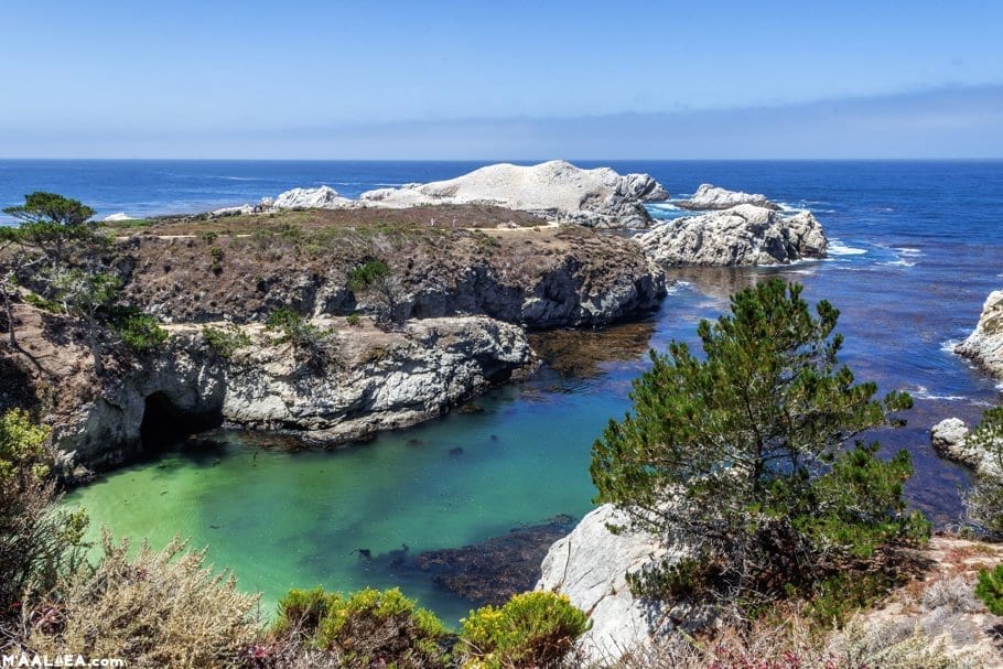Point Lobos Carmel California