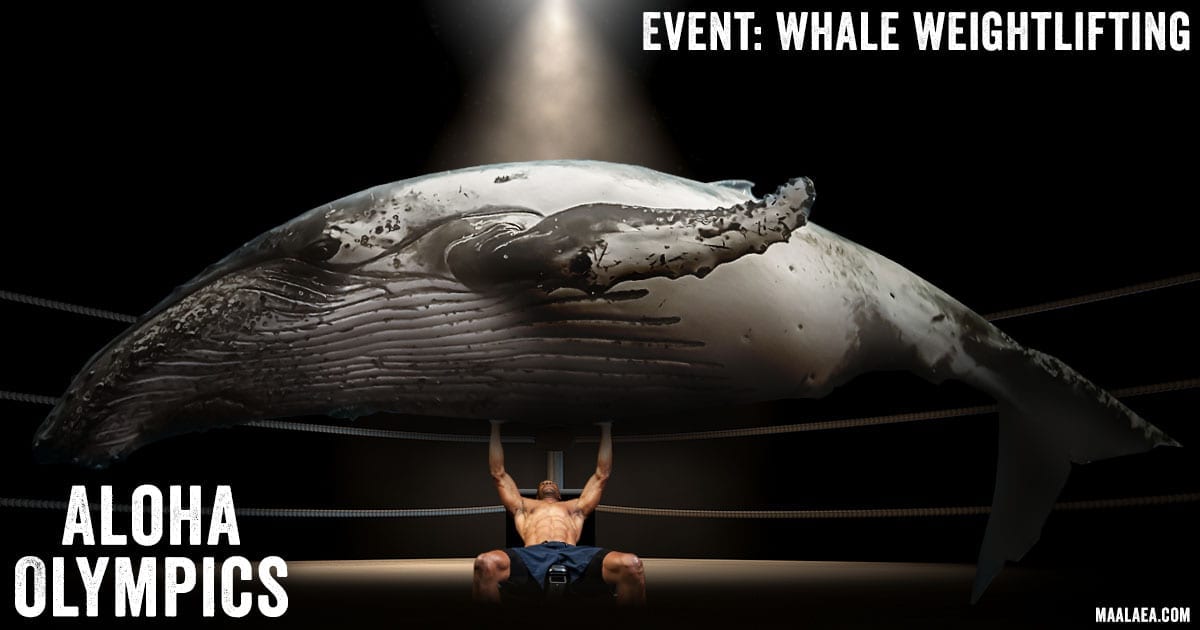whale weightlifting