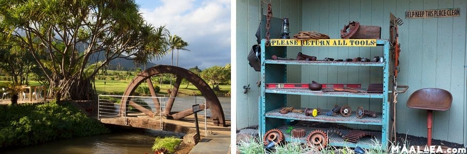 Maui Tropical Plantation history