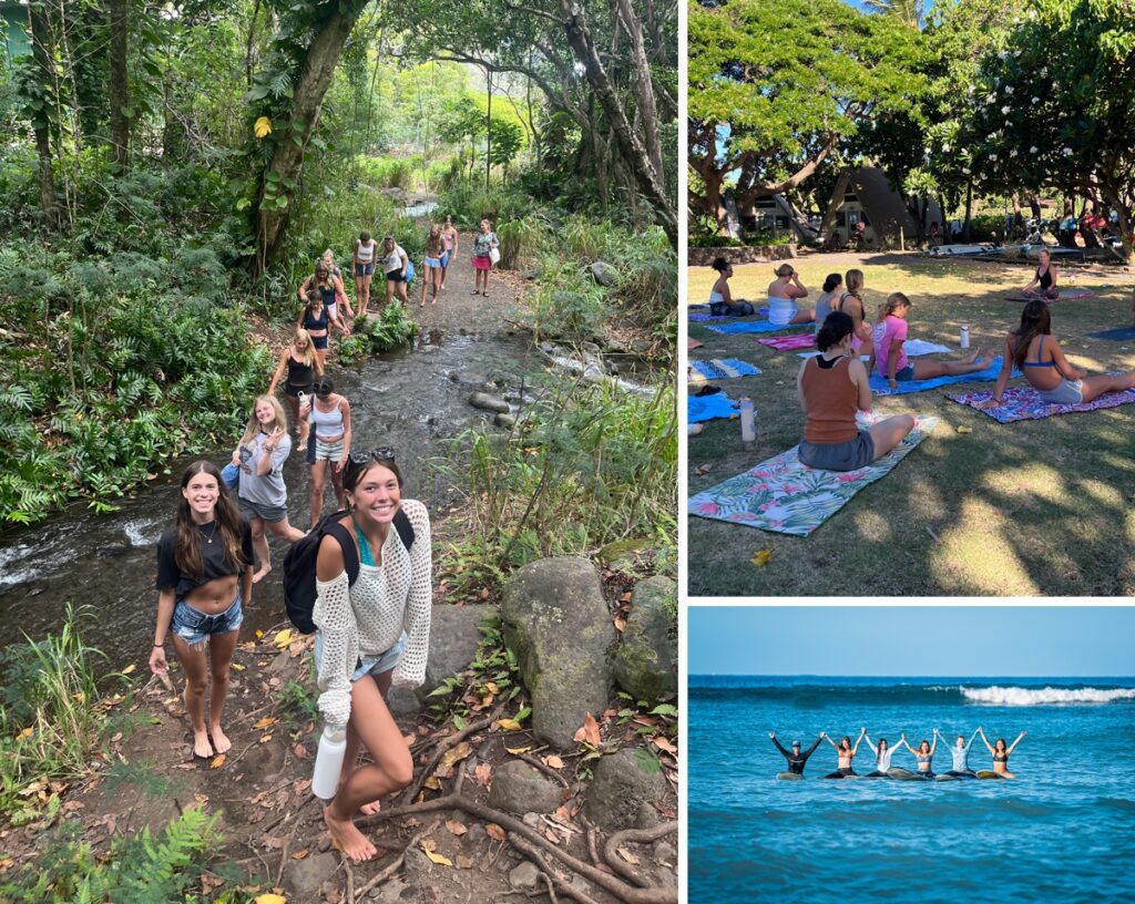 Iao Valley Camp